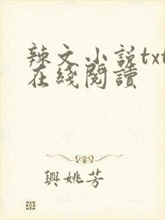 辣文小说txt在线阅读