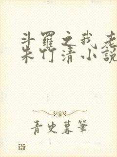 斗罗之我老婆是朱竹清小说