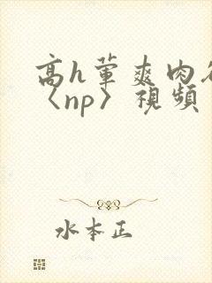 高h荤爽肉欲文〈np〉视频