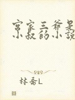 宫家三爷是女主小叔的小说