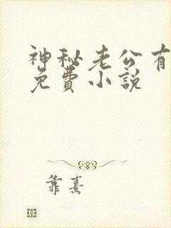 神秘老公有点坏免费小说封面