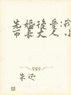 先婚后爱:我的市长大人 小说