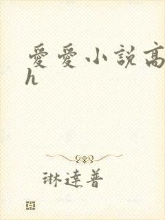 爱爱小说高hhh