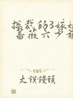 总裁的3嫁娇妻 蔷薇六少爷