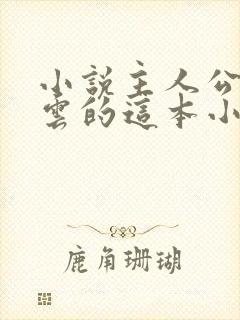 小说主人公叫林云的这本小说名字