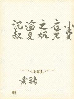 沉沦之夜小说陈叔夏婉免费阅读