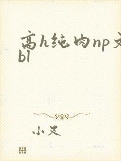 高h纯肉np文bl