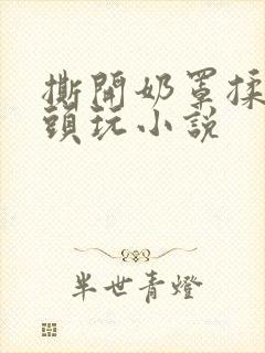 撕开奶罩揉吮奶头玩小说封面