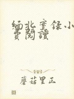 缅北实录小说免费阅读