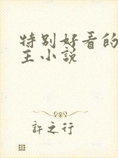 特别好看的双男主小说