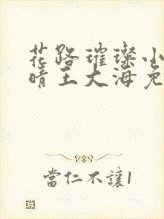 花路璀璨小说芷晴王大海免费阅读