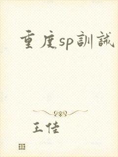 重度sp训诫文