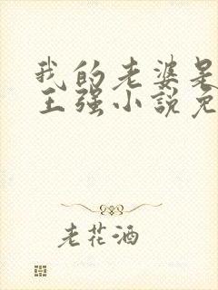 我的老婆是人妖王强小说免费阅读封面