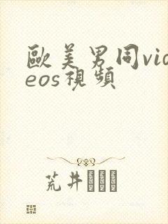 欧美男同videos视频