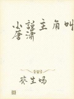 小说主角叫王东唐潇封面