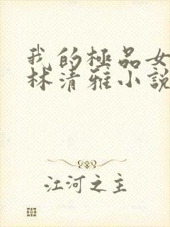 我的极品女总裁林清雅小说封面