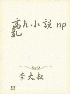高h小说 np乱封面
