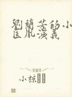 刘兰芳的小说赵匡胤演义封面