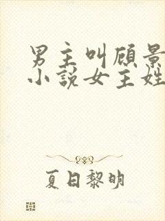 男主叫顾景琛的小说女主姓叶封面