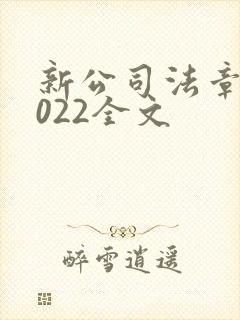 新公司法章程2022全文封面