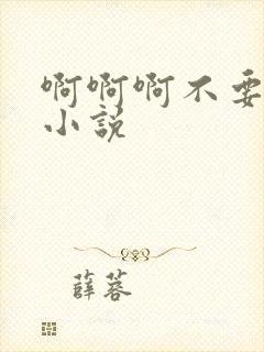 啊啊啊不要啊h小说