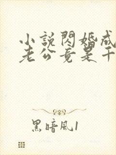 小说闪婚成宠,老公竟是千亿大佬免费下载封面