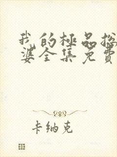 我的极品总裁老婆全集免费封面