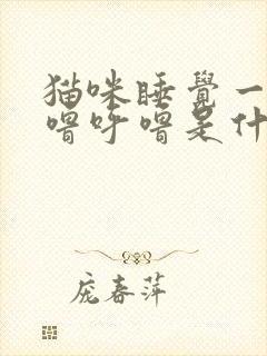 猫咪睡觉一直呼噜呼噜是什么意思