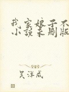 我家娘子不对劲小说未删版全集