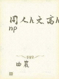 同人h文高h np
