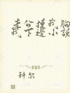 老公摸我胸还摸我下边小说