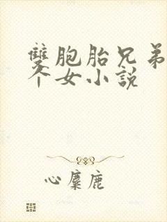 双胞胎兄弟和一个女小说