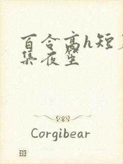 百合高h短篇合集夜笙