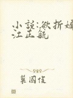 小说:欲折娇妾江正毓