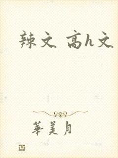 辣文 高h文