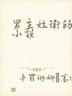 男主姓卫的穿越小说封面