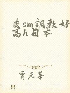 爽sm调教好舒高h日本