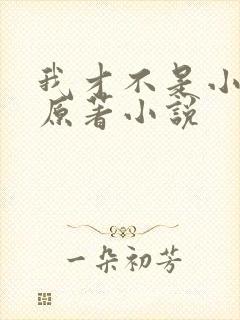 我才不是小可怜原著小说