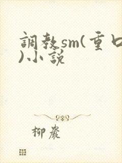 调教sm(重口)小说