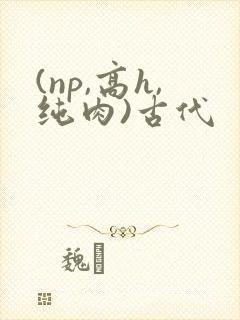 (np,高h,纯肉)古代