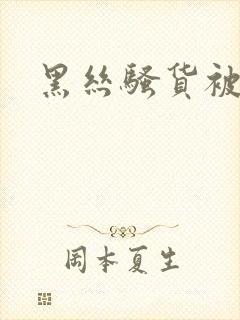 黑丝骚货被狂操封面