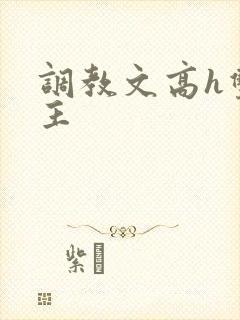 调教文高h双男主