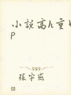 小说高h重口np