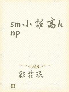 sm小说高h np