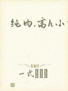 纯肉,高h小说
