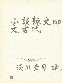 小说辣文np辣文古代