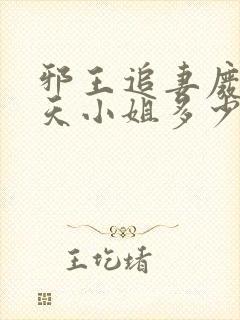 邪王追妻废材逆天小姐多少字