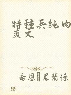 特种兵纯肉高h爽文