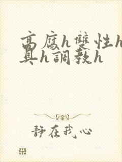 高腐h双性h道具h调教h封面