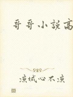 哥哥小说高干文